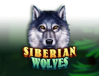 Siberian Wolves