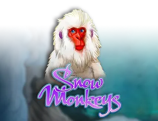 Snow Monkeys