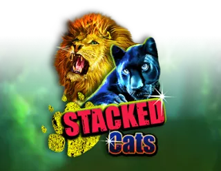 Stacked Cats