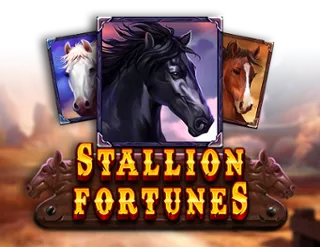 Stallion Fortunes