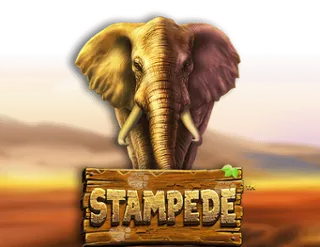 Stampede