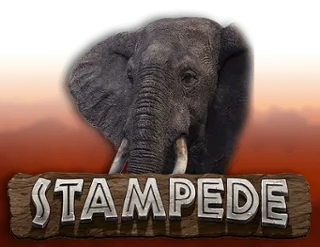 Stampede