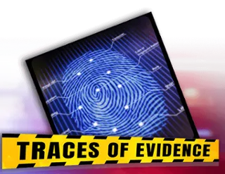 Traces of Evidence