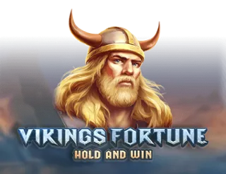 Vikings Fortune Hold and Win