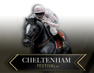Virtual! Horse Racing at Cheltenham Festival