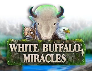 White Buffalo Miracles