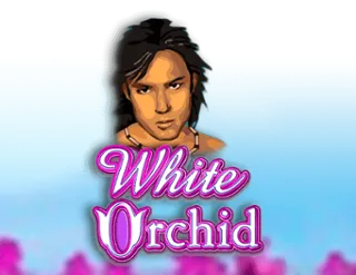White Orchid