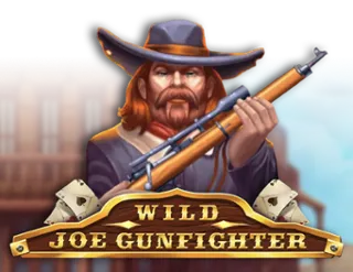 Wild Joe Gunfighter