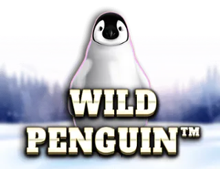Wild Penguin