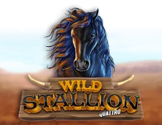 Wild Stallion