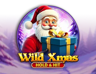 Wild Xmas Hold & Hit
