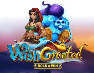 Wish Granted