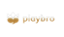 Playbro