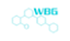Wild Bunch Gaming