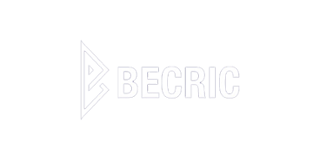 BeCric Casino logo