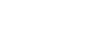 NYspins Casino logo