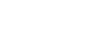 Slots Animal Casino IE logo