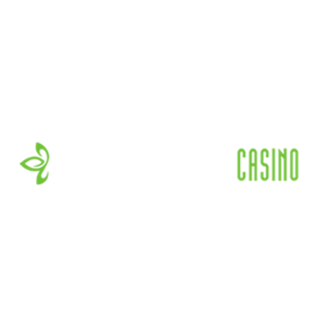 Dream Palace Casino