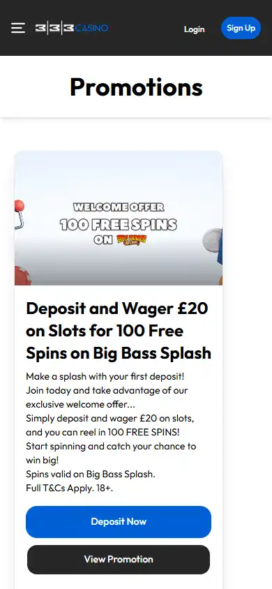 333 Casino screenshot 6