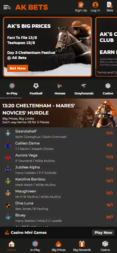 AK BETS Casino screenshot 3