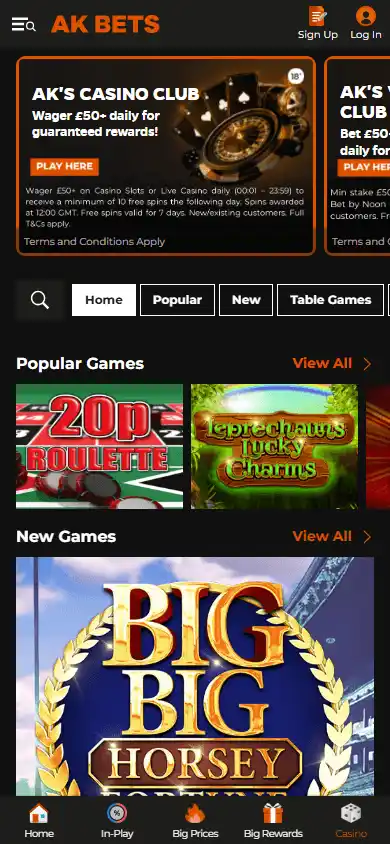 AK BETS Casino screenshot 4