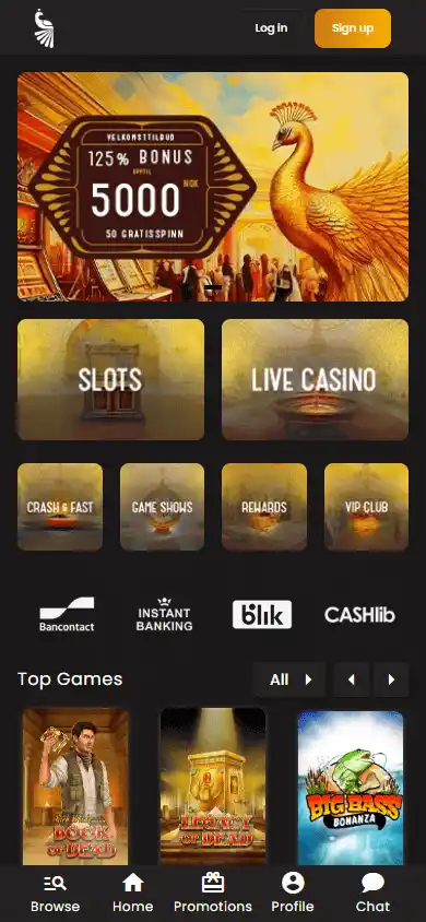 Art Casino screenshot 4