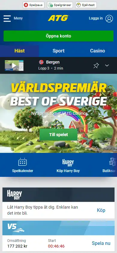 ATG Casino screenshot 3