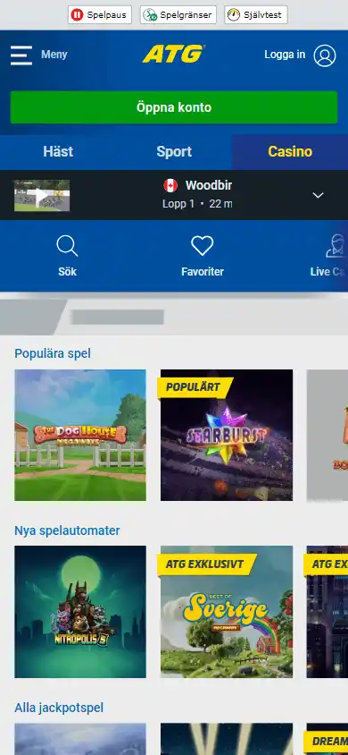 ATG Casino screenshot 4