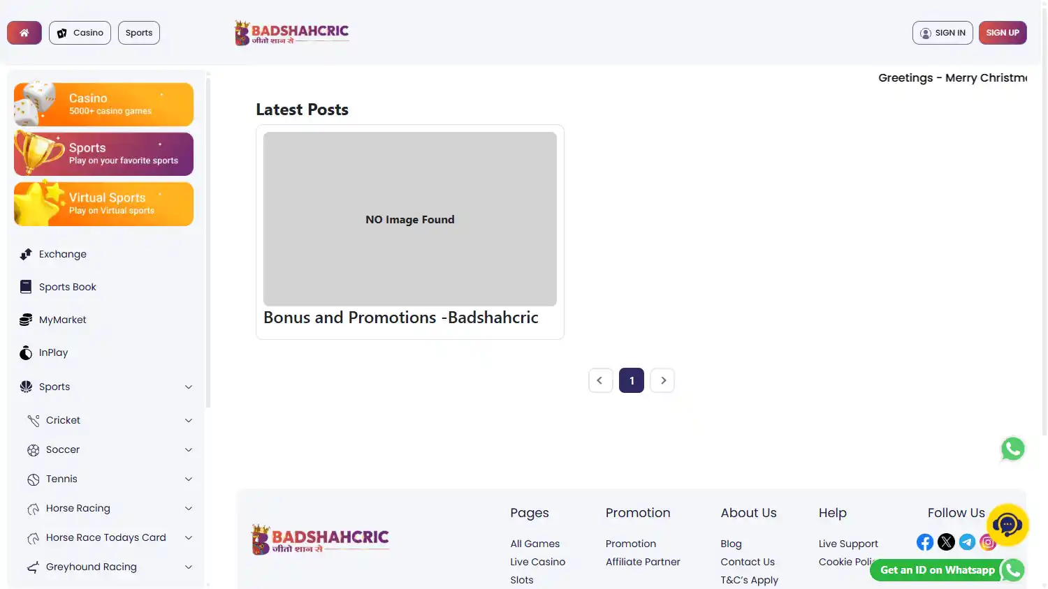 Badshahcric Casino screenshot 3