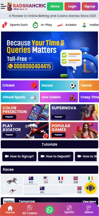 Badshahcric Casino screenshot 4