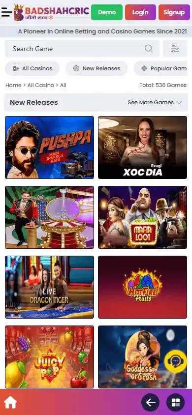 Badshahcric Casino screenshot 5
