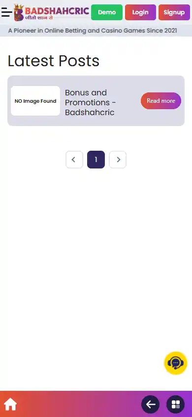 Badshahcric Casino screenshot 6