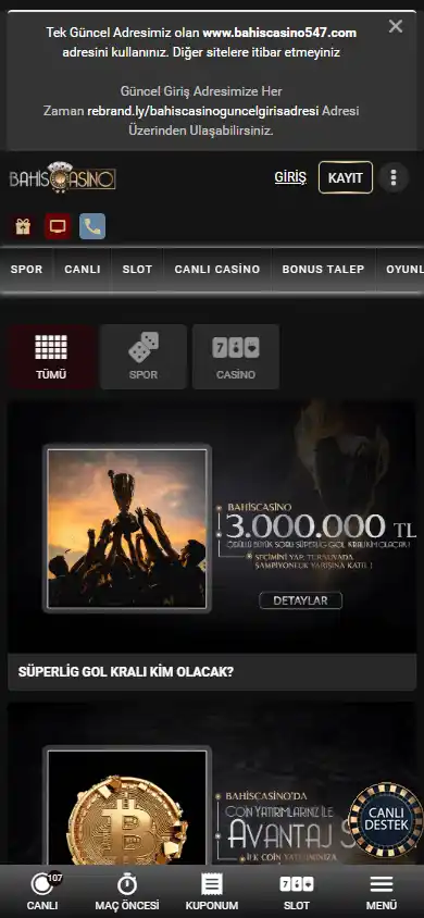 Bahis Casino screenshot 6