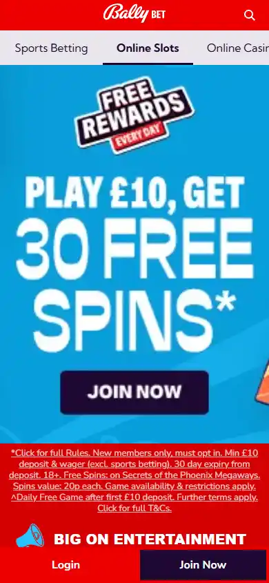 Bally Casino screenshot 6