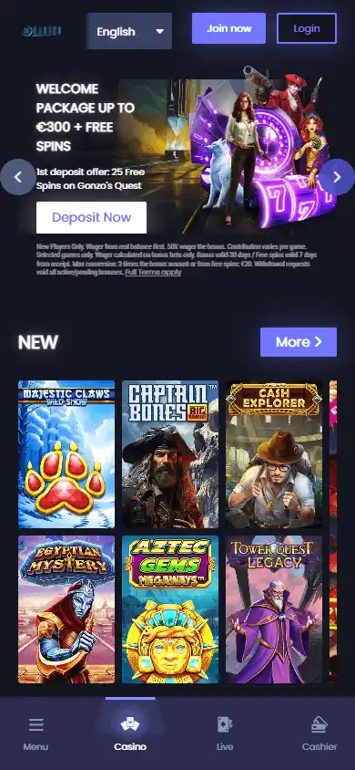 BBCasino screenshot 4