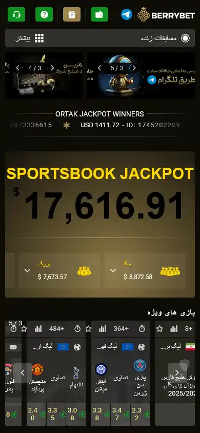 BerryBet Casino screenshot 3