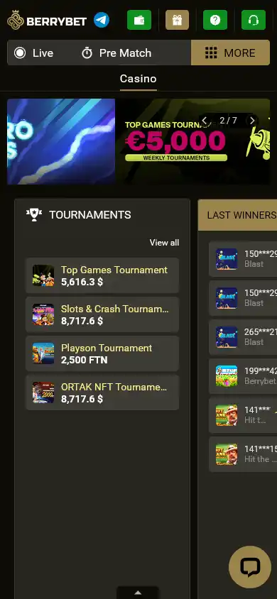 BerryBet Casino screenshot 4