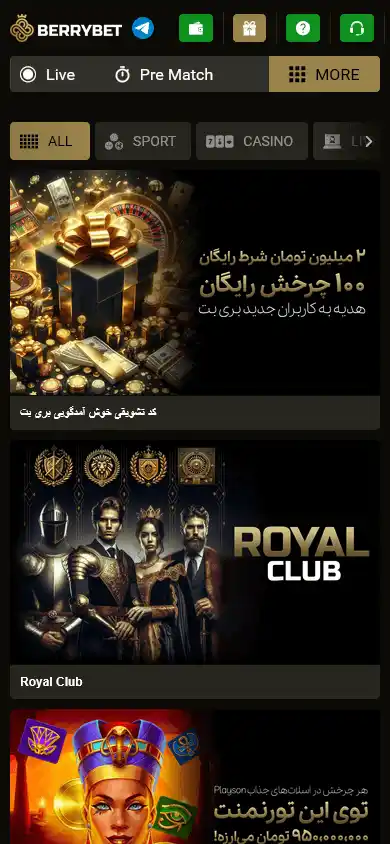 BerryBet Casino screenshot 5