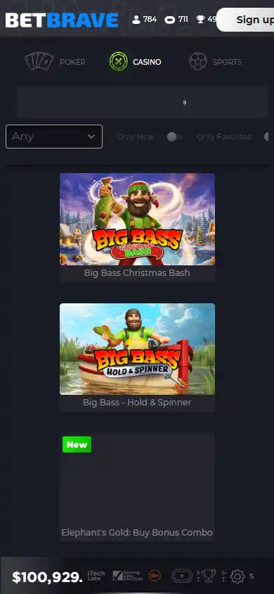 Bet-brave Casino screenshot 4
