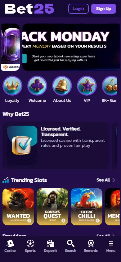 Bet25 Casino screenshot 4