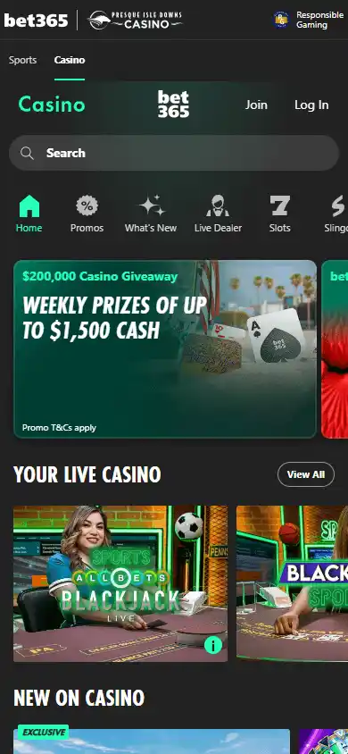 bet365 Casino screenshot 4