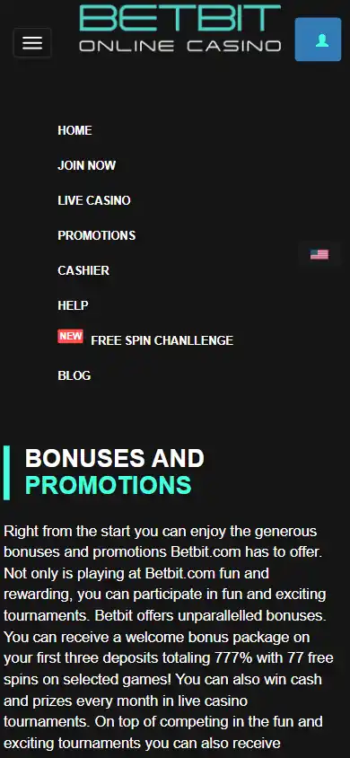 BetBit Casino screenshot 4