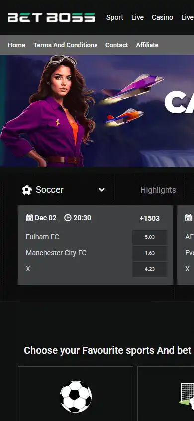 Betboss Casino screenshot 3