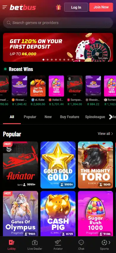 Betbus Casino screenshot 4