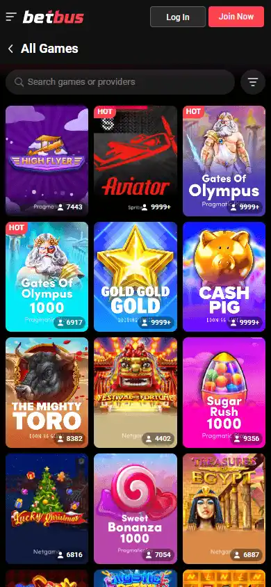 Betbus Casino screenshot 5