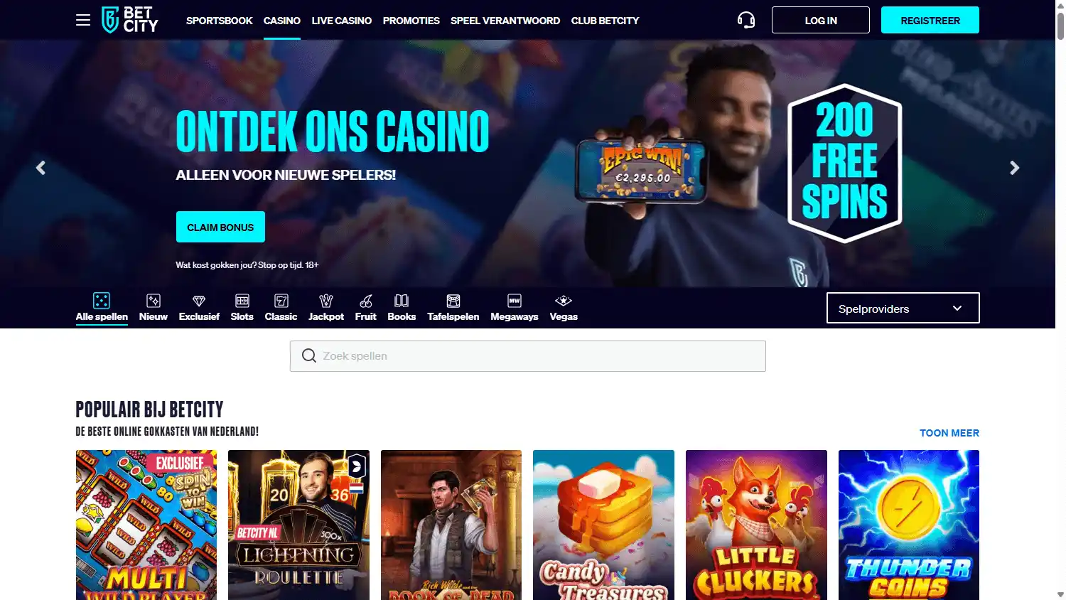 Betcity Casino screenshot 3