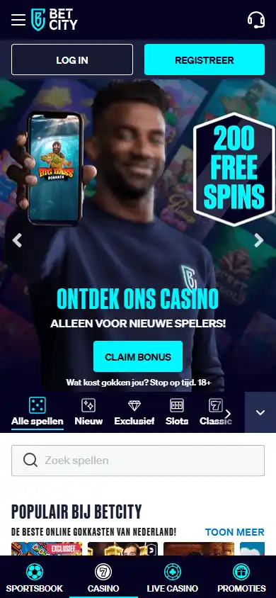 Betcity Casino screenshot 6