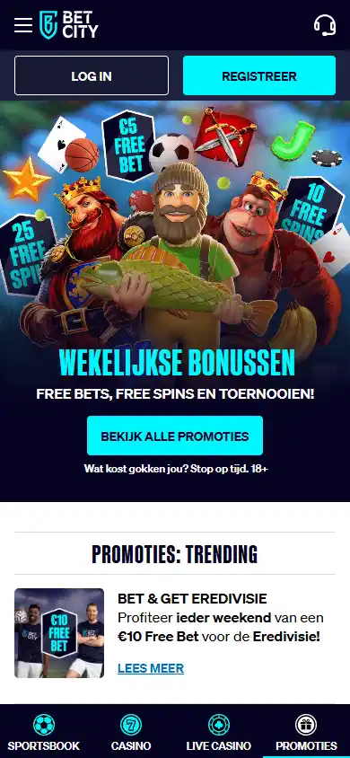 Betcity Casino screenshot 7