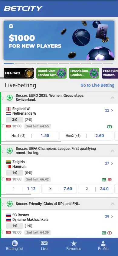 Betcity.net Casino screenshot 4