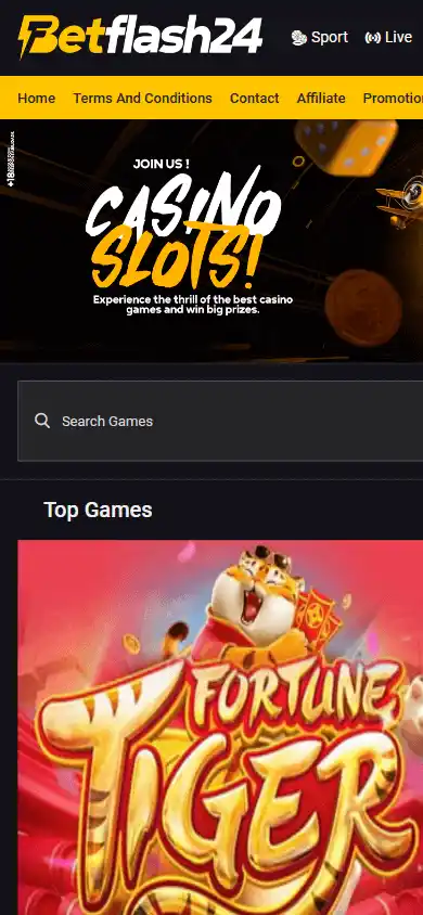 BetFlash24 Casino screenshot 4
